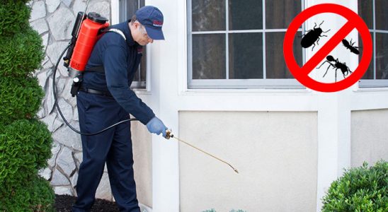 Bahçelievler Dezenfeksiyon böcek ilaçlama ve haşere kontrolü — ilaclama-tr.com